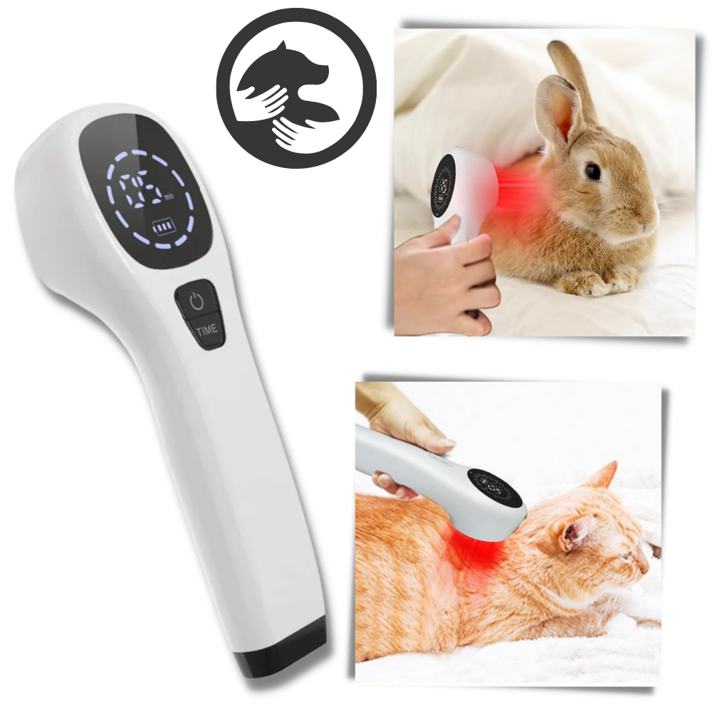 Dispositivo portatile di terapia a infrarossi per animali domestici - Ozerty