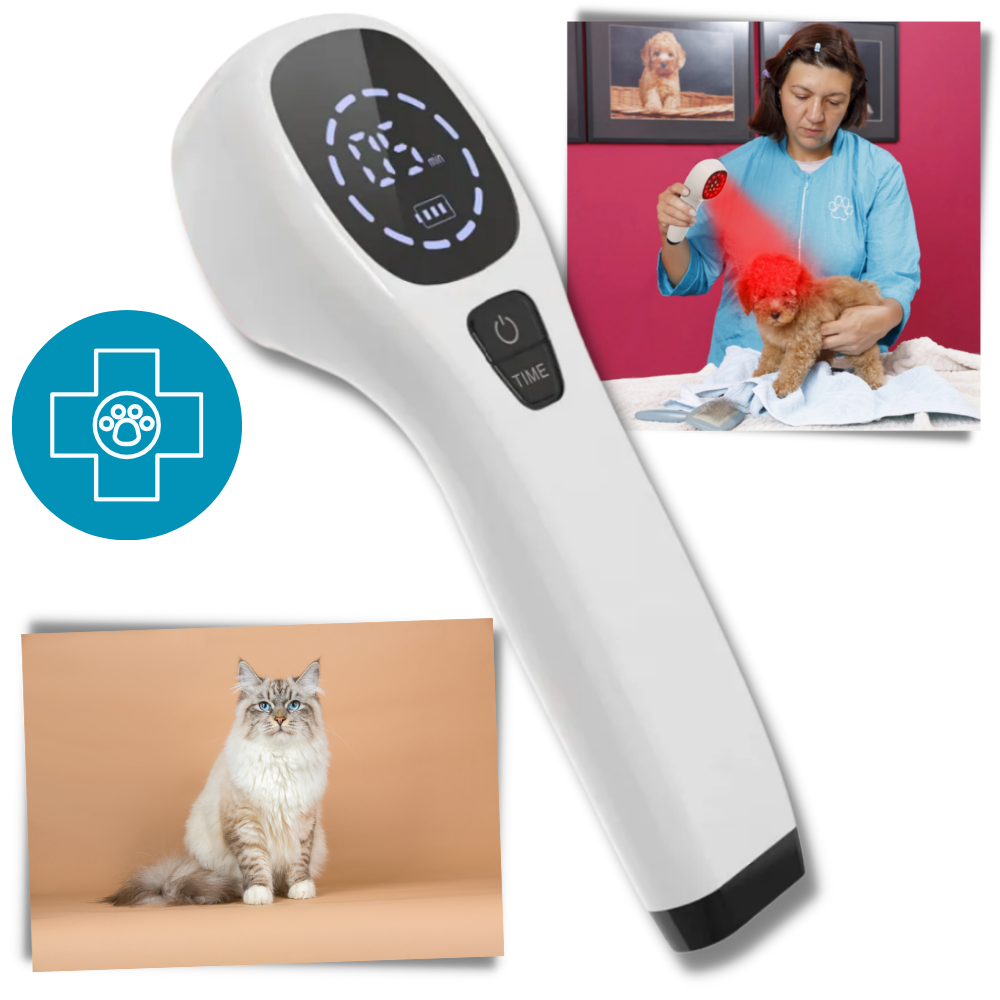 Dispositivo portatile di terapia a infrarossi per animali domestici - Ozerty