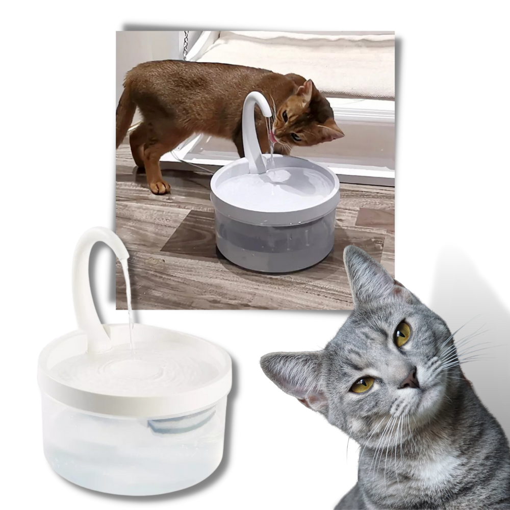 Fontana d'acqua automatica per gatto con luce LED - Ozerty