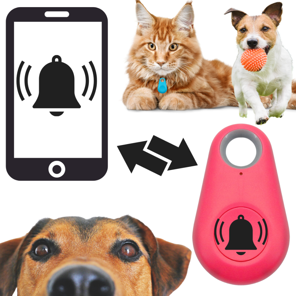 Localizzatore GPS per animali domestici Bluetooth - Ozerty