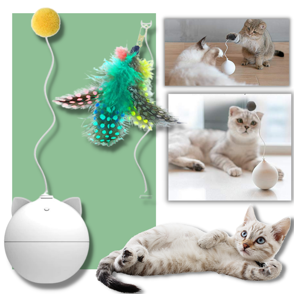 Palla giocattolo per gatti con funzione di rollio automatico - Ozerty