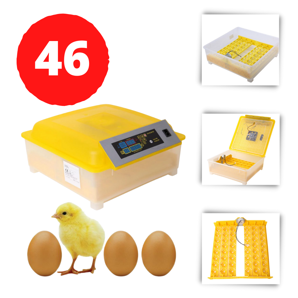 Incubatrice automatica da 48 uova - Ozayti