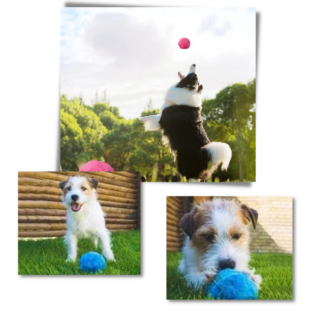Palla mobile automatica per cani con coperture intercambiabili - Ozerty