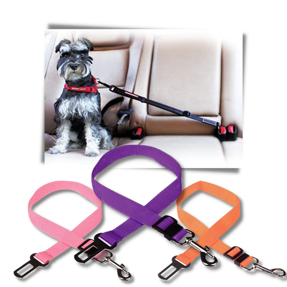 Cintura di sicurezza regolabile e durevole per cani per auto - Ozerty