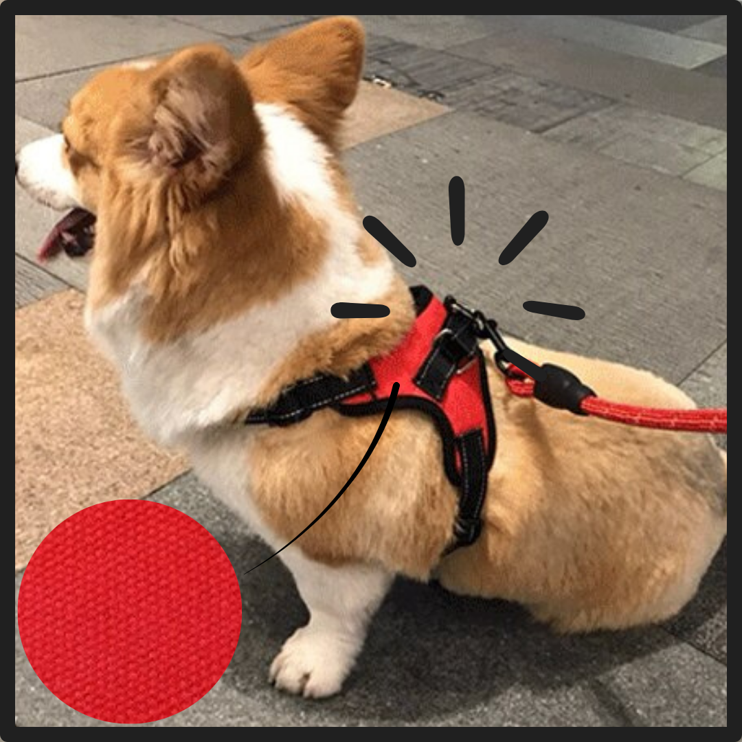 Imbracatura per cani a sella regolabile riflettente - Ozerty