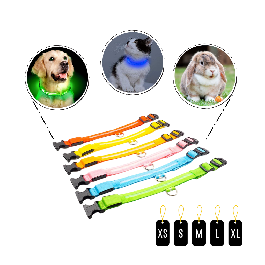 Collare per animali con luce LED ricaricabile USB - Ozerty