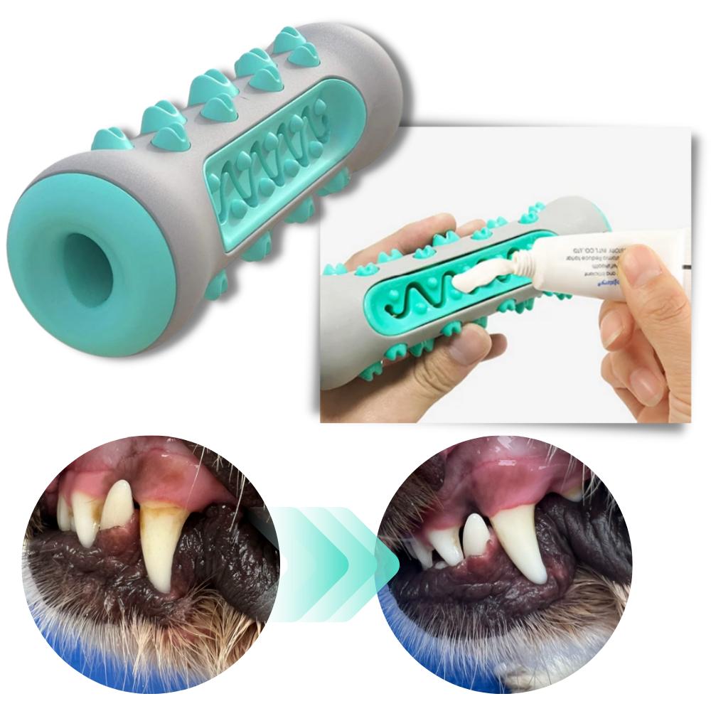 Giocattolo da masticare per la cura dei denti per cani - Ozerty