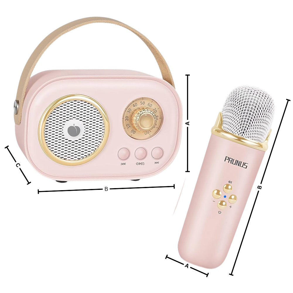 Mini Karaoke Bluetooth a Doppio Microfono per Bambini - Ozerty