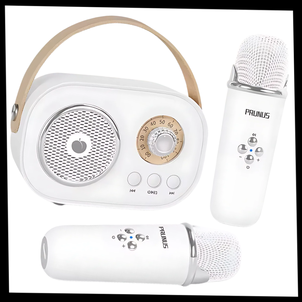 Mini Karaoke Bluetooth a Doppio Microfono per Bambini - Ozerty