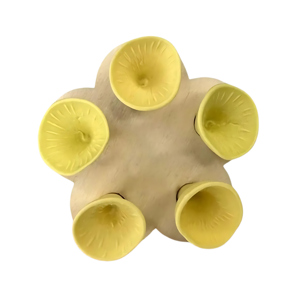 Coppa per api discreta, Attraente e Colorata -Giallo - Ozerty