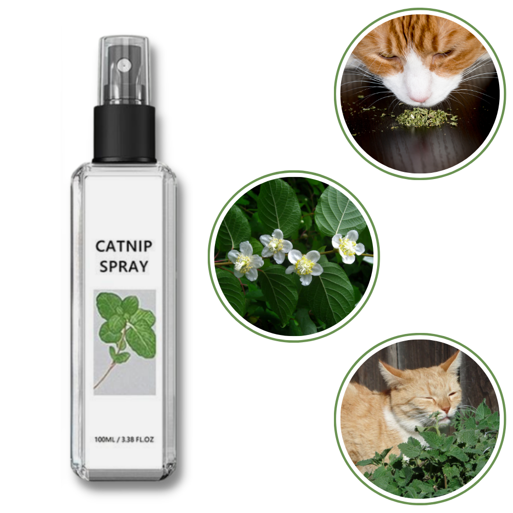 Silvervine naturale puro per gatti - Ozerty