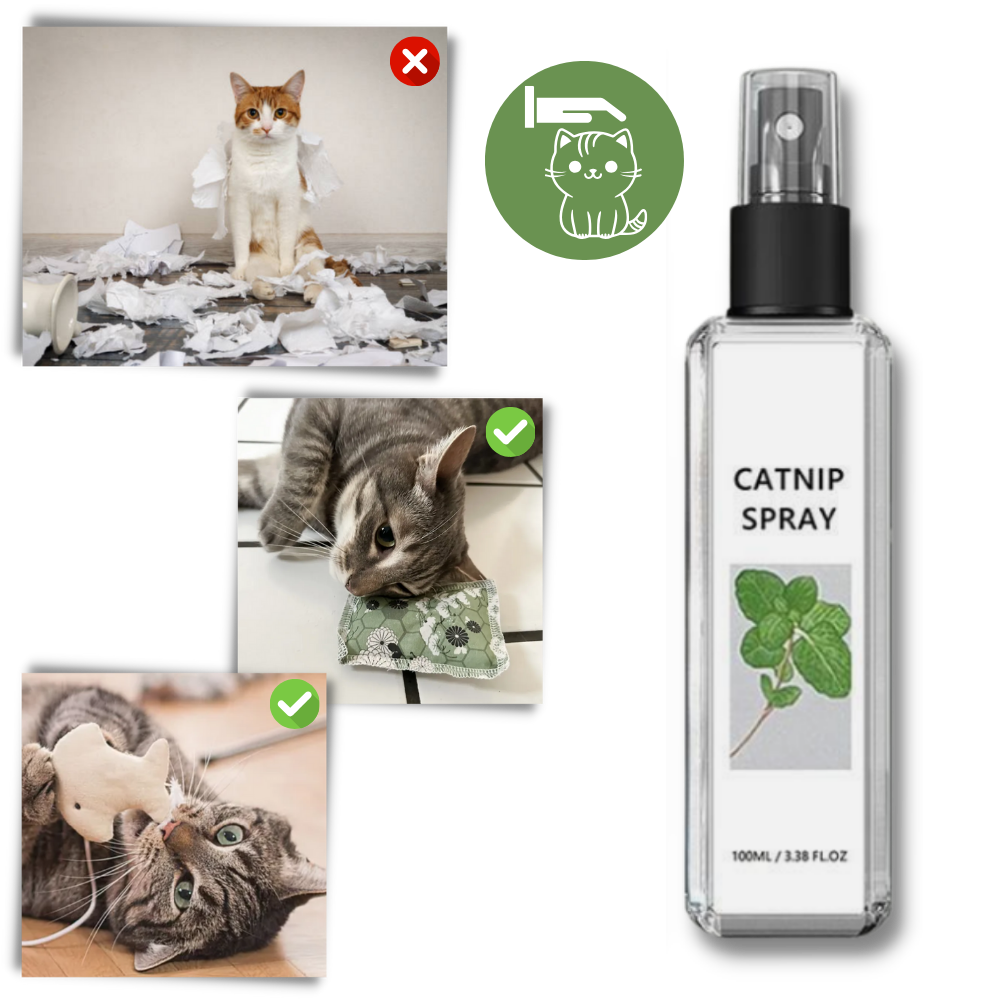 Silvervine naturale puro per gatti - Ozerty