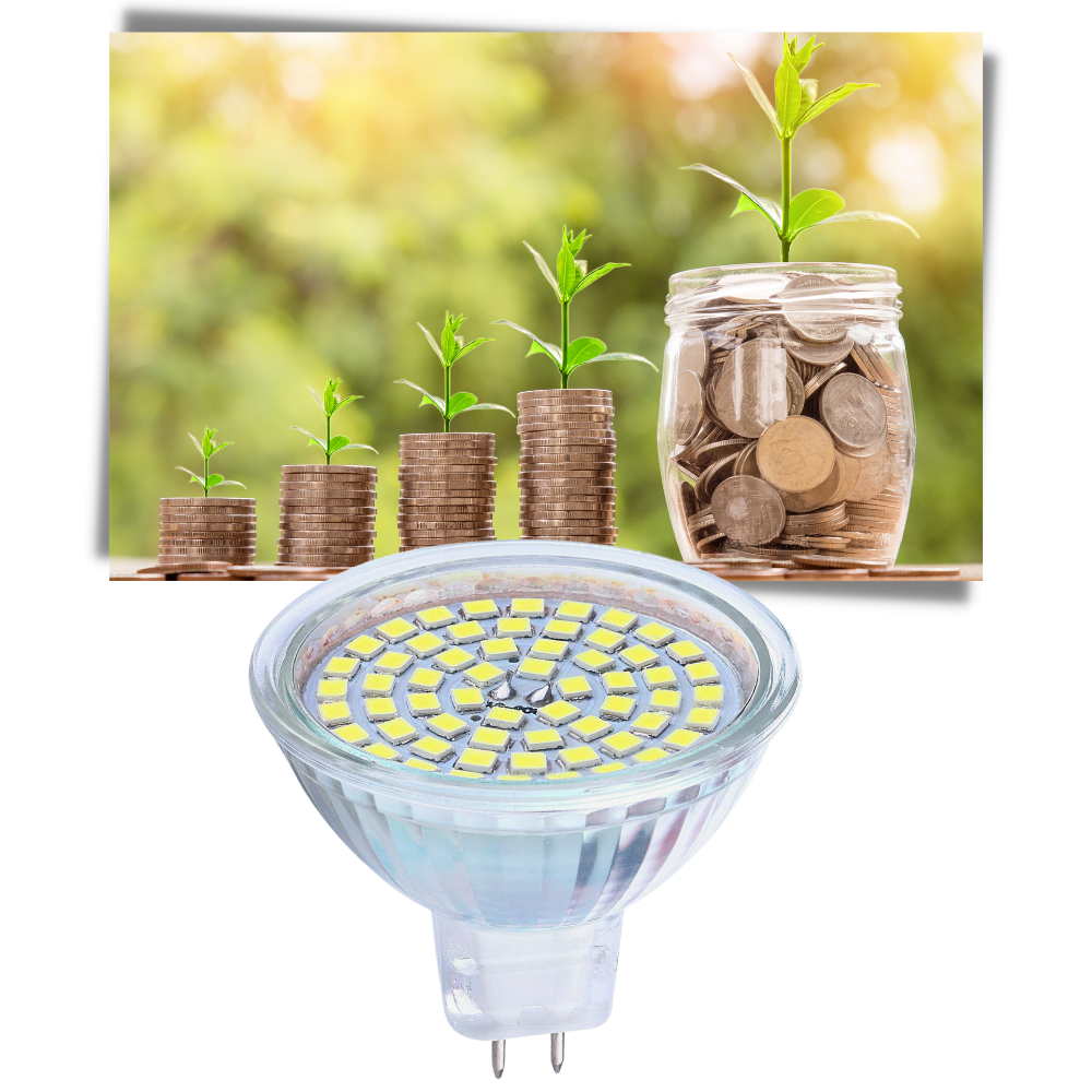 Confezione da 3 lampadine LED a risparmio energetico - Ozerty