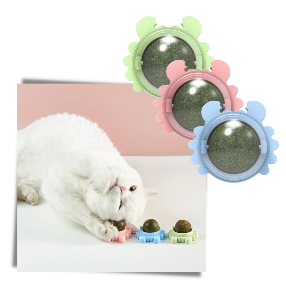 Giocattolo rotante a forma di palla di menta per gatti - Ozerty