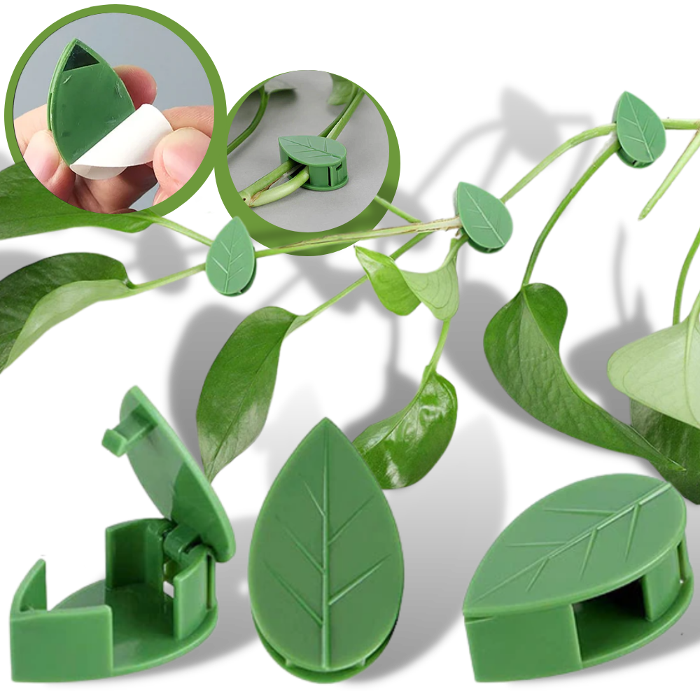 Confezione da 20 clip adesive a forma di foglia per piante rampicanti - Ozerty