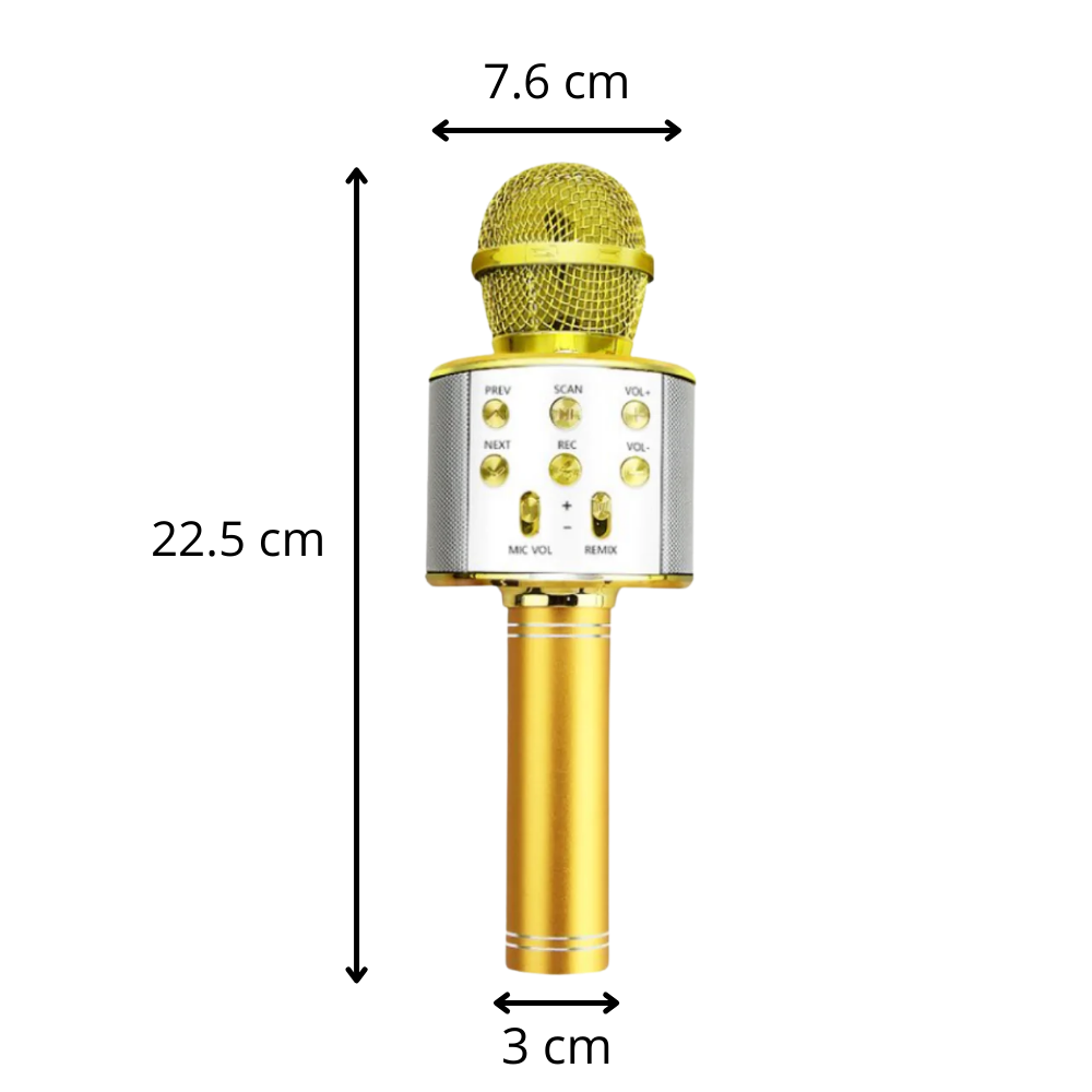 Microfono karaoke bluetooth senza fili - Ozerty