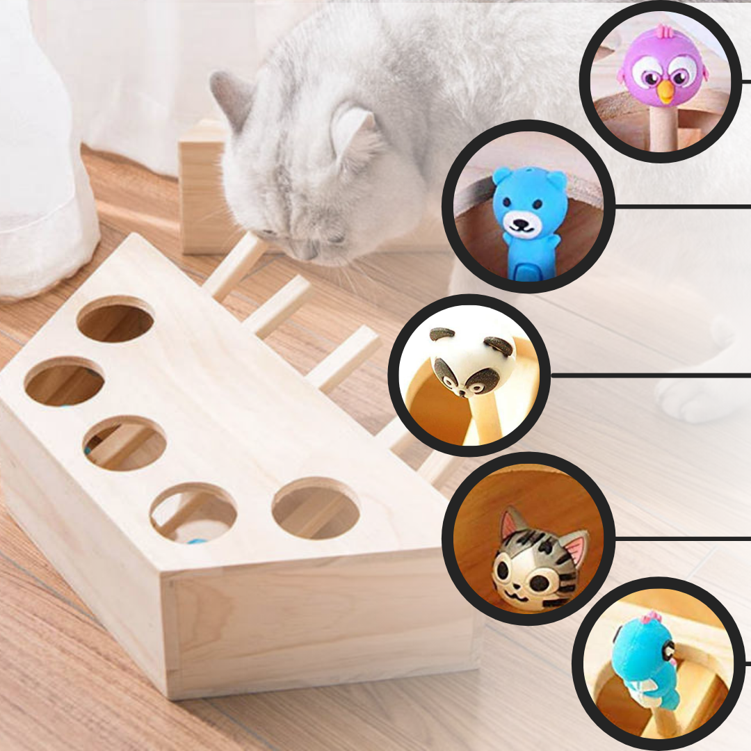 Giocattolo di legno interattivo per gatti con 5 buchi