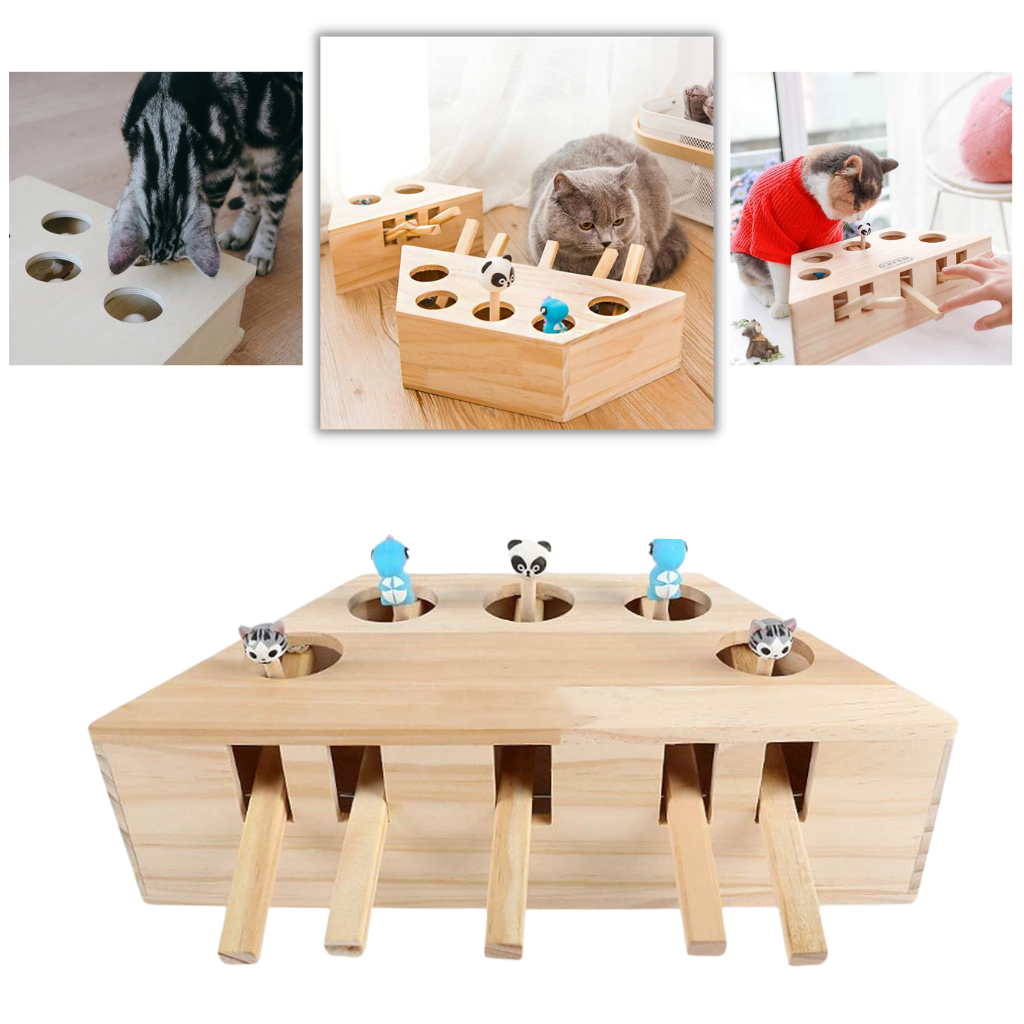 Giocattolo di legno interattivo per gatti con 5 buchi - Ozerty