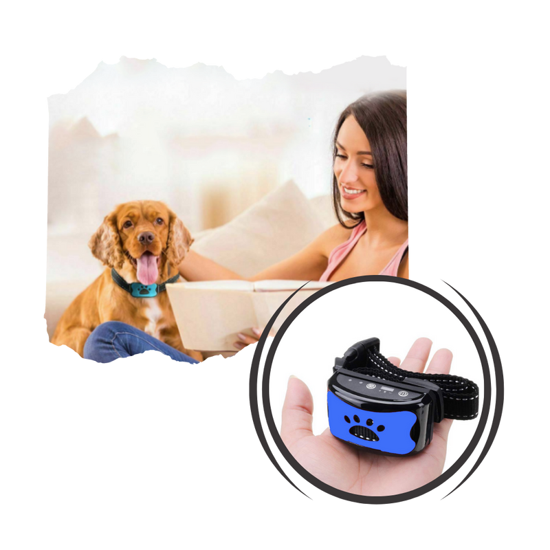 Collare per cani anti abbaio - Ozerty