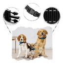 Collare per cani anti abbaio - Ozerty