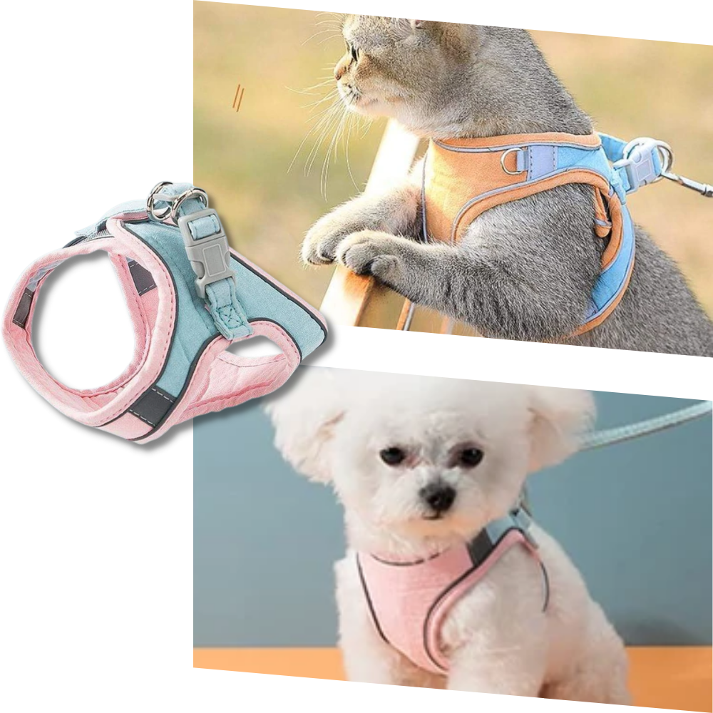 Set imbracatura e guinzaglio per animali - Ozerty