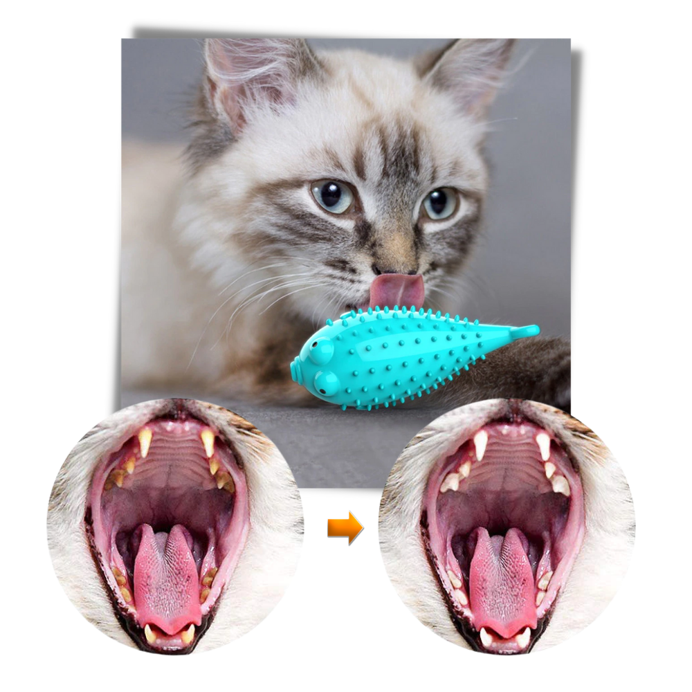 Spazzolino da denti per gatti ricaricabile a forma di pesce