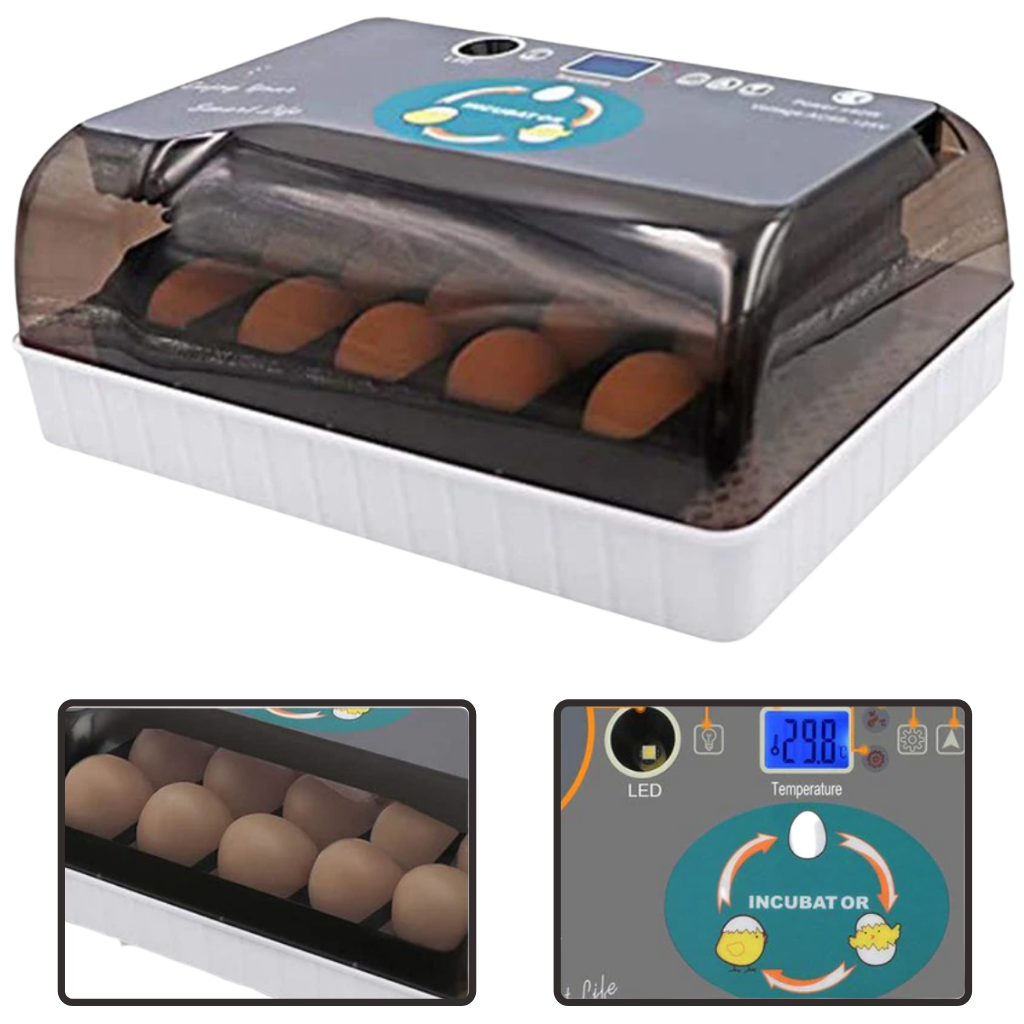 Incubatrice automatica digitale per uova - Ozayti