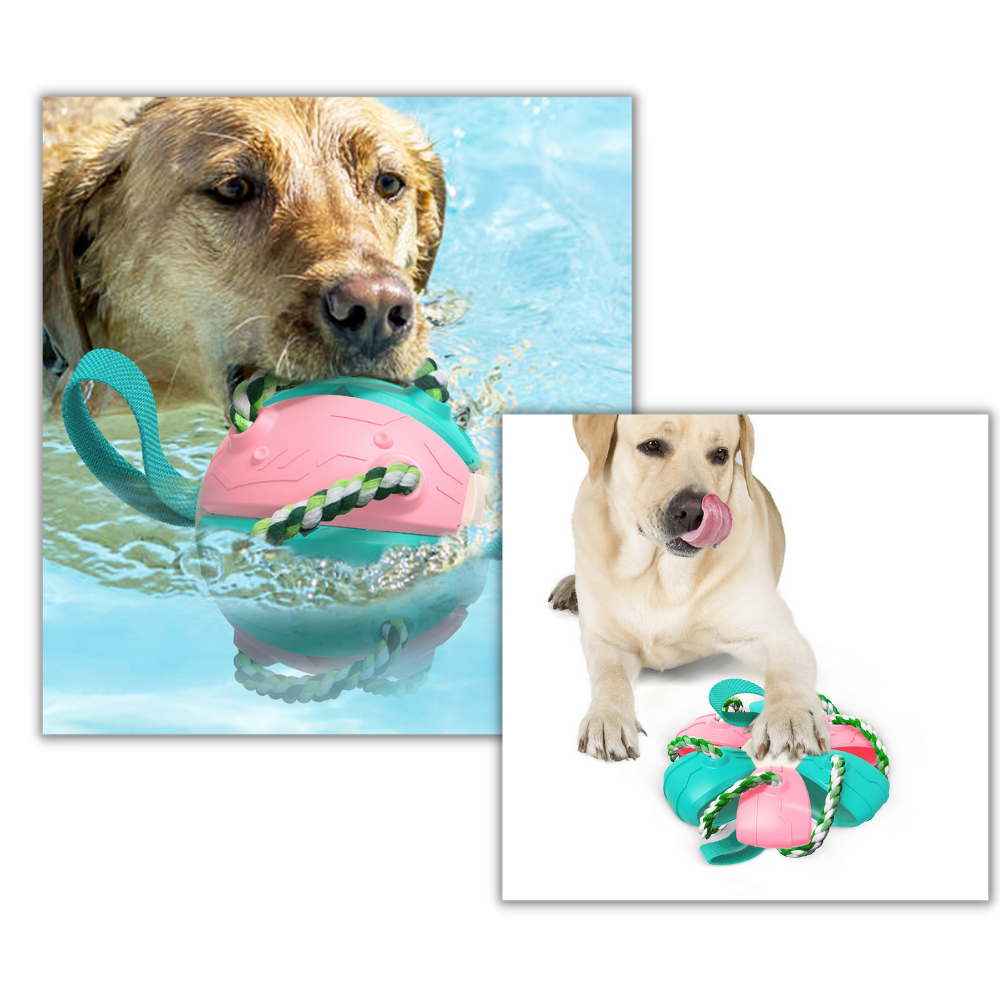 Giocattolo per cani palla frisbee - Ozerty