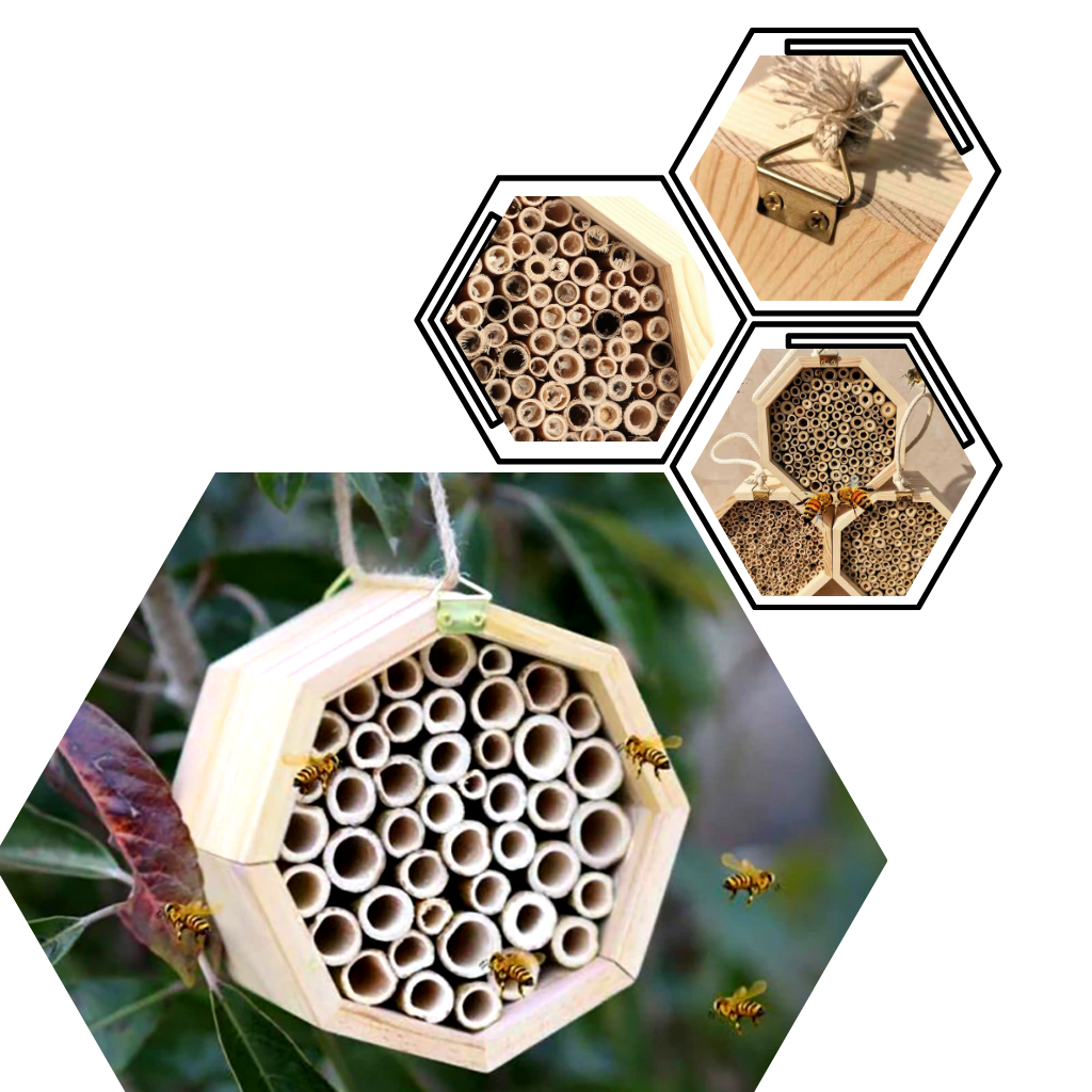 Casa delle api in legno esagonale
