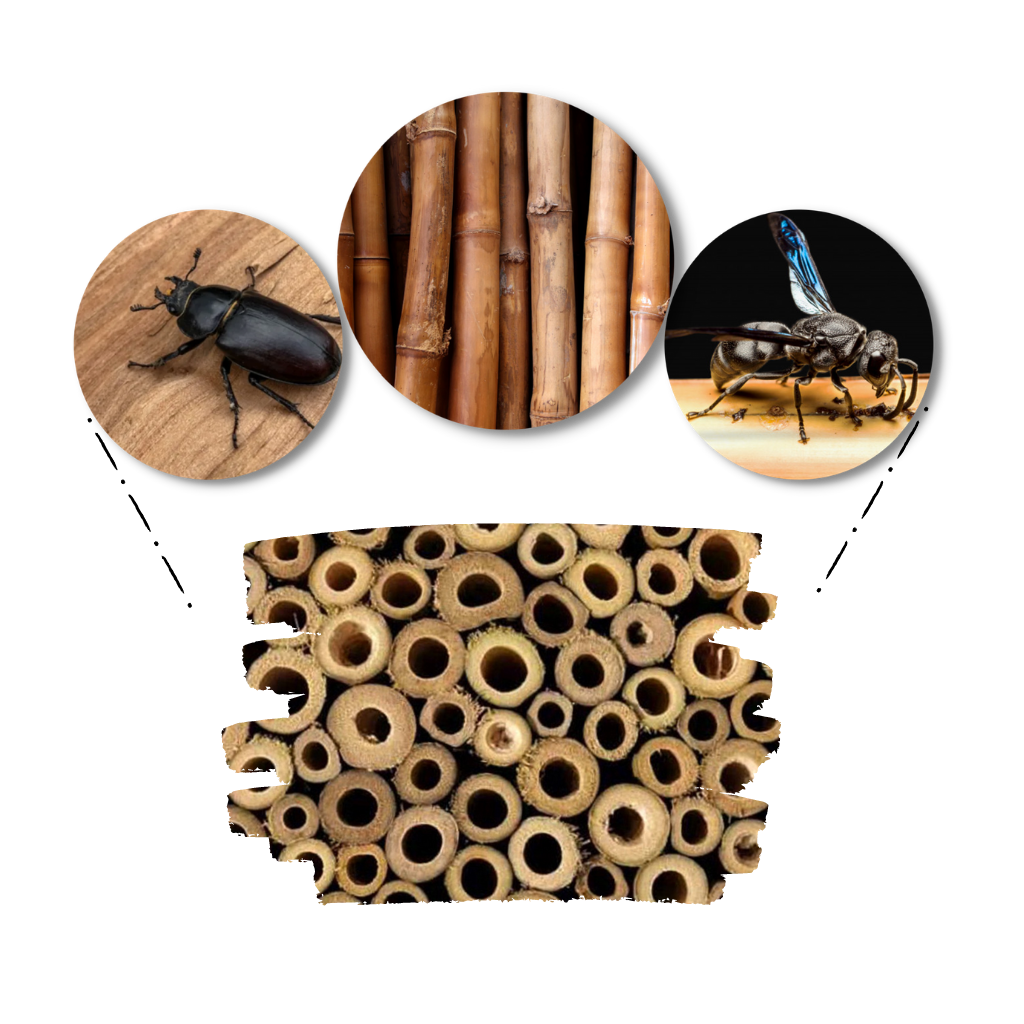 Casa delle api in legno esagonale - Ozerty