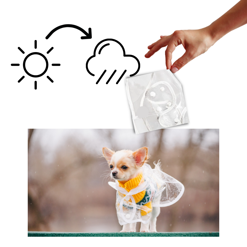 Impermeabile con cappuccio per cani  - Ozerty