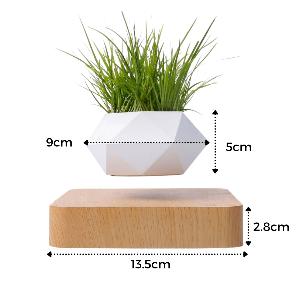 Vaso per piante ad aria levitante│Vaso per piante fluttuante magnetico│Vaso  per piante fluttuanti a sospensione