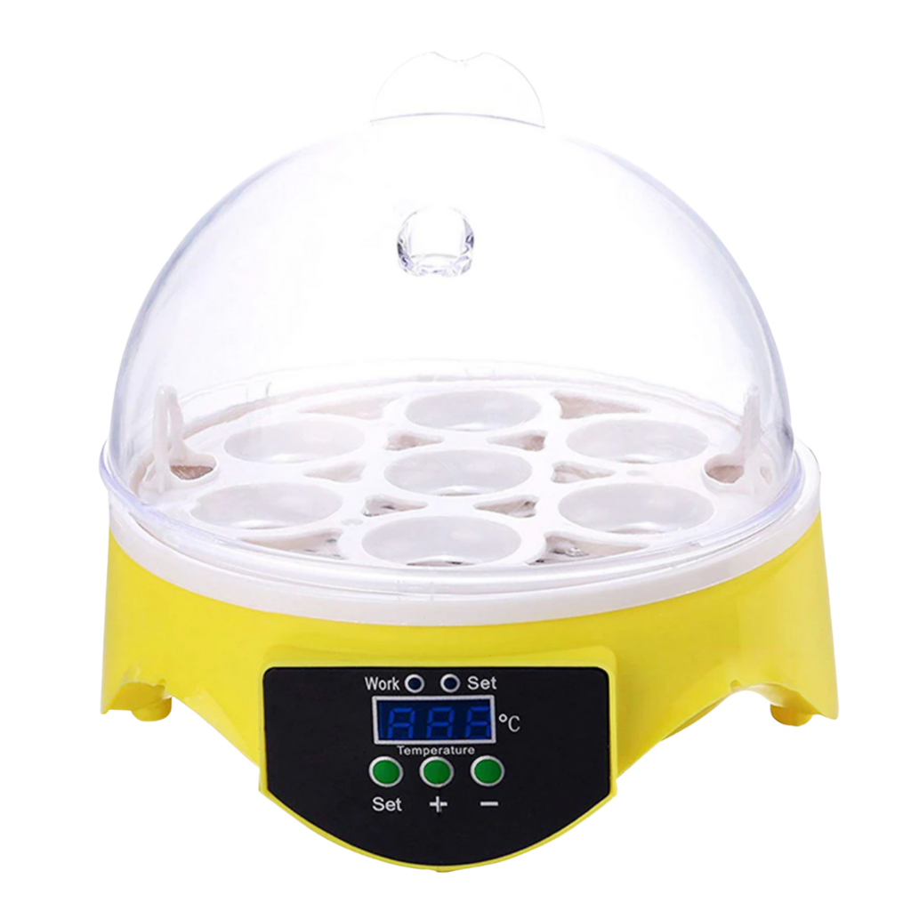 Mini incubatrice automatica per uova - ozayti
