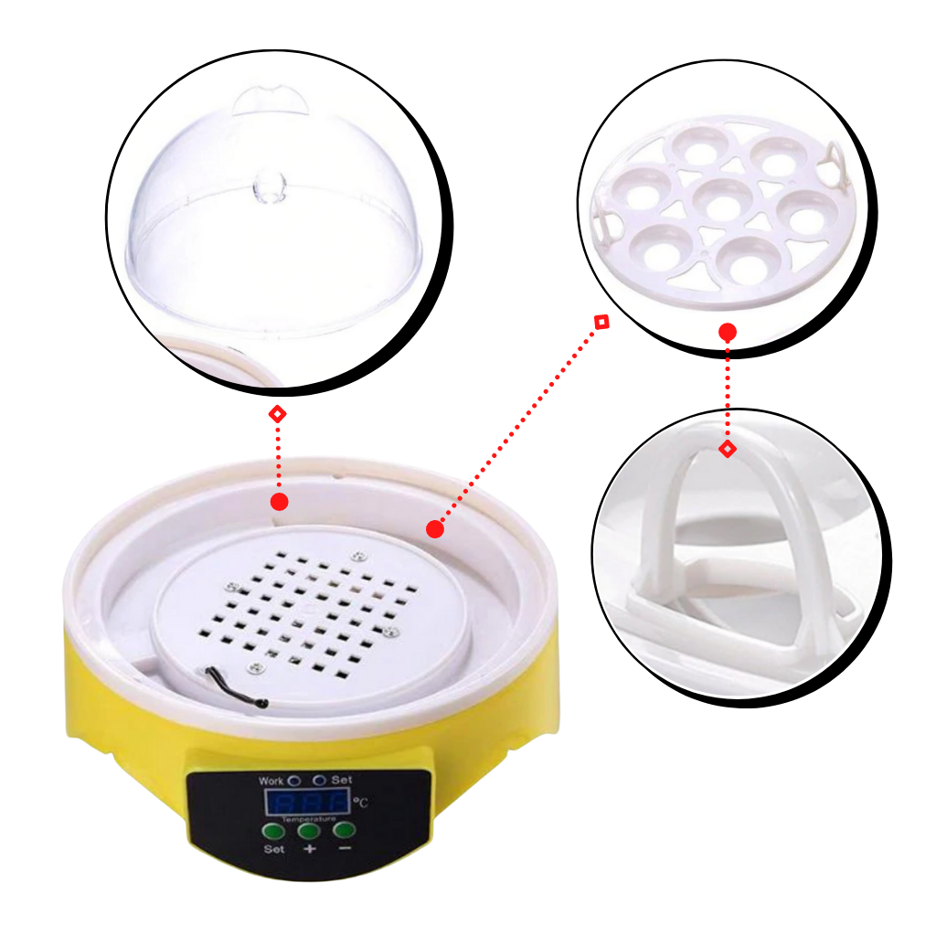 Mini incubatrice automatica per uova