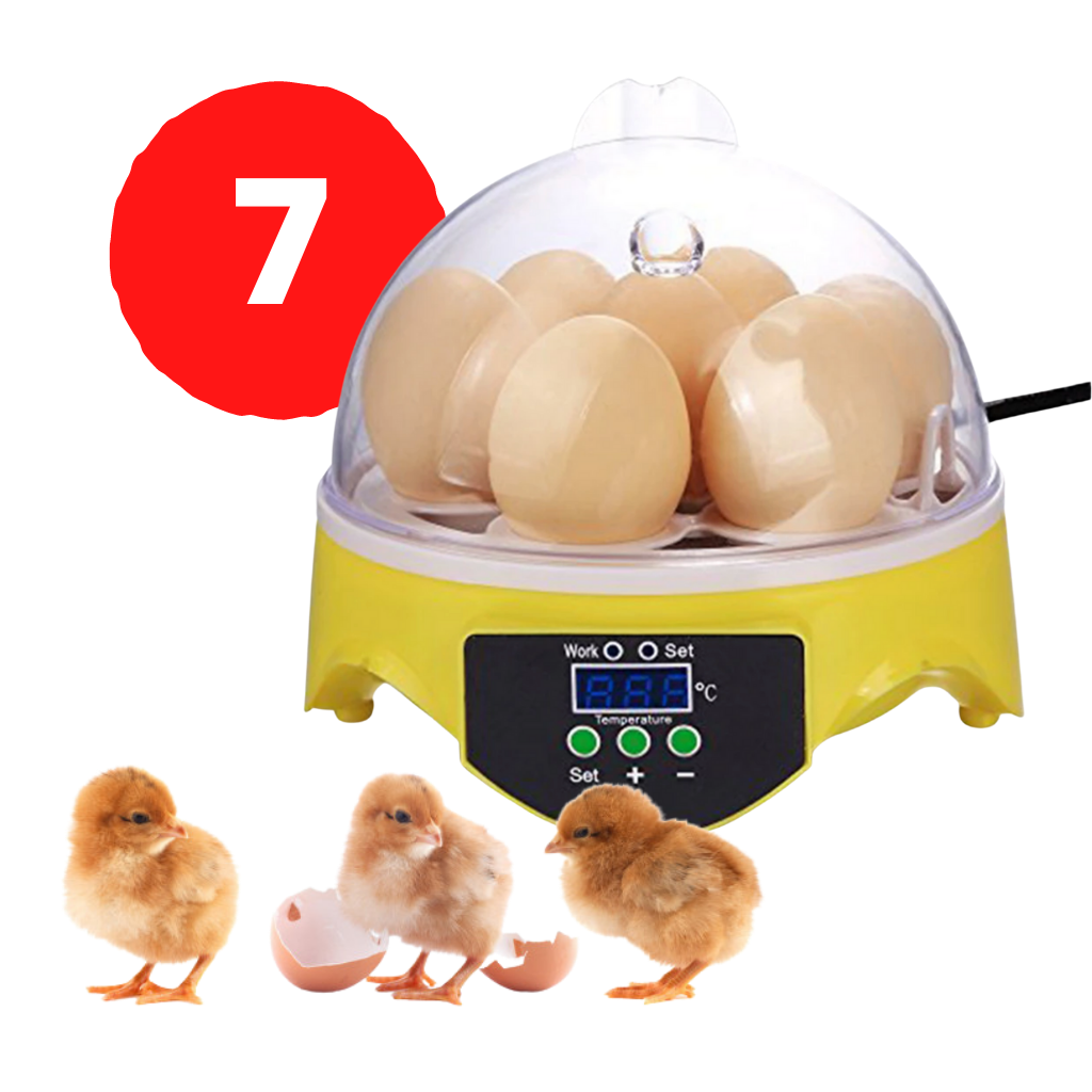 Mini incubatrice automatica per uova - ozayti