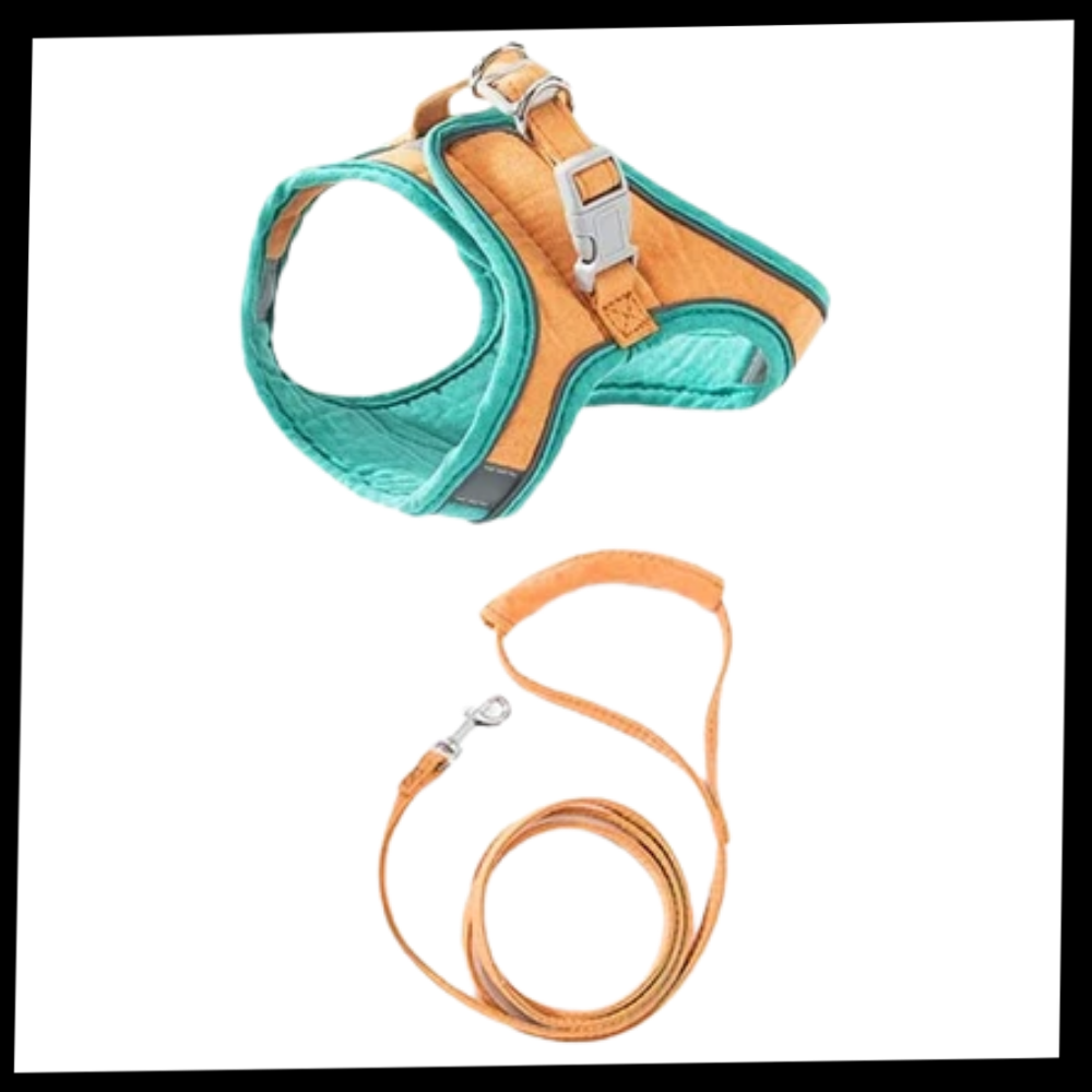 Set imbracatura e guinzaglio per animali - Ozerty