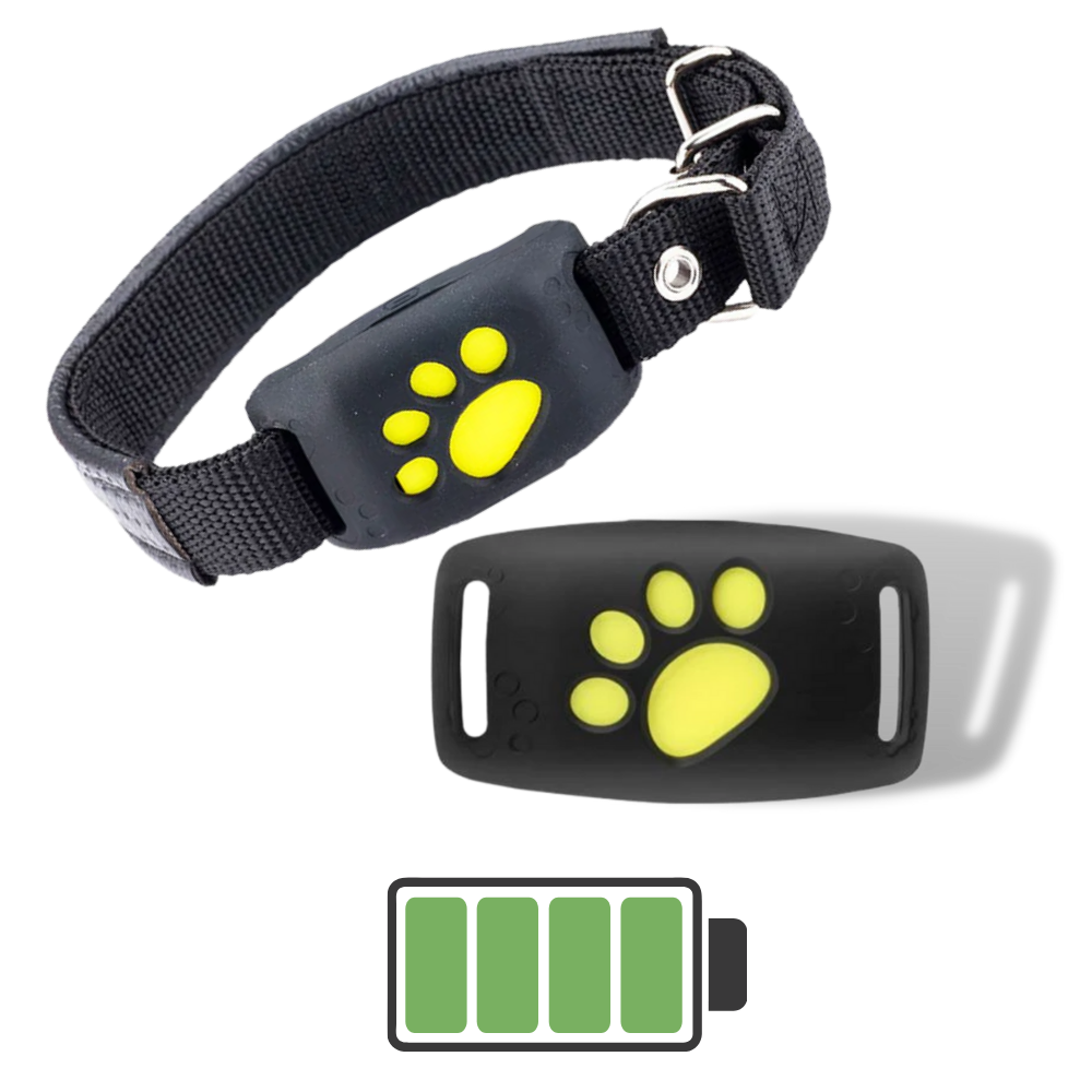 Collare di localizzazione GPS per animali domestici - Ozerty