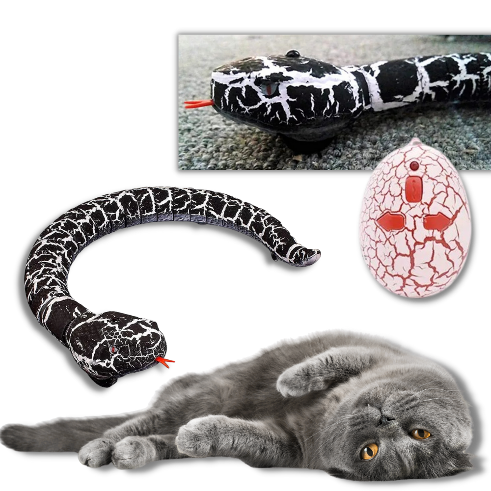 Giocattolo a serpente interattivo telecomandato per gatto - Ozerty