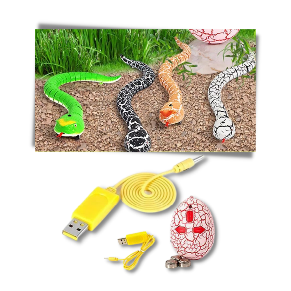 Serpente giocattolo per gatto │ RC Telecomando serpente giocattolo  interattivo per gatto