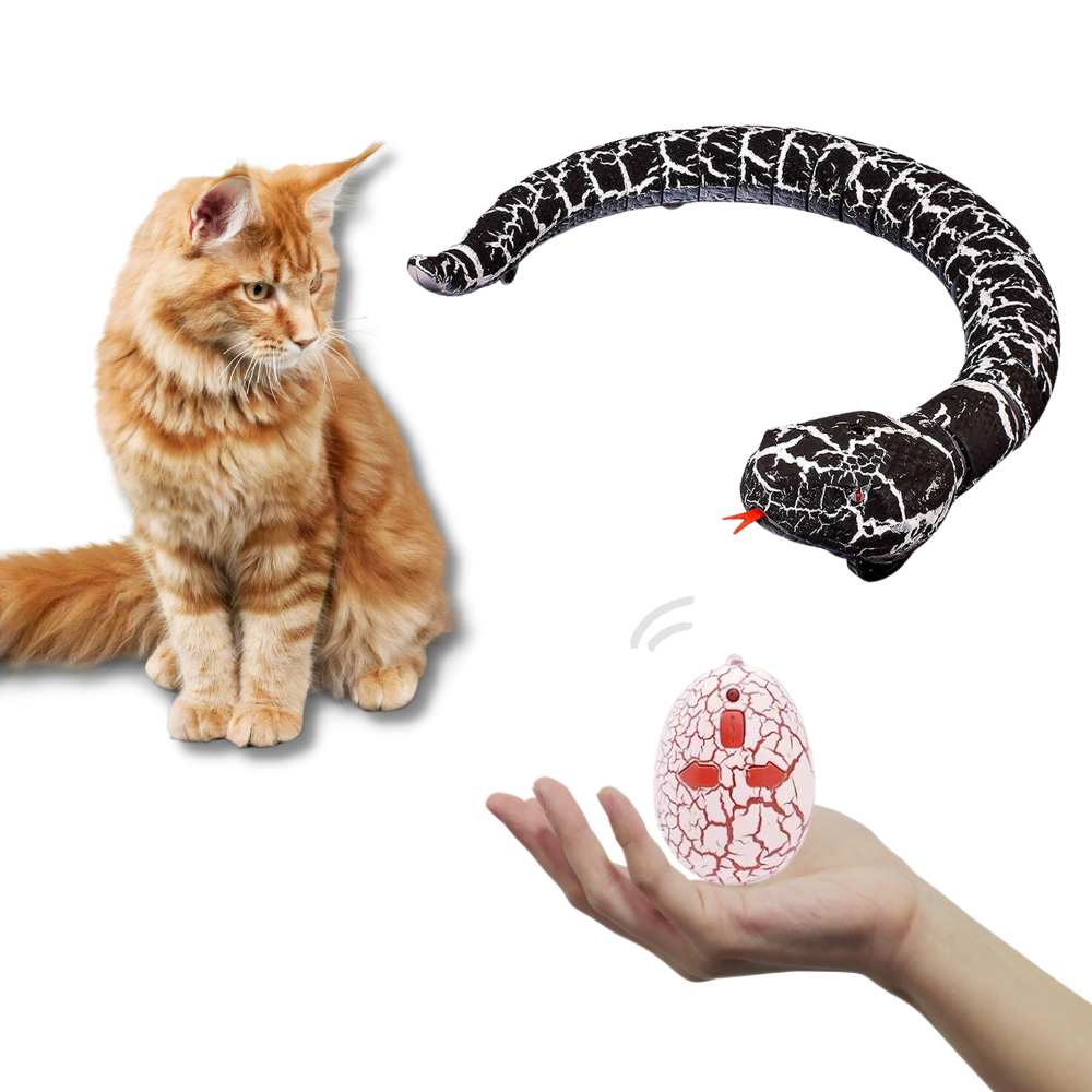 Giocattolo a serpente interattivo telecomandato per gatto
