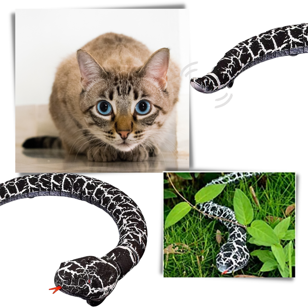 Giocattolo a serpente interattivo telecomandato per gatto - Ozerty