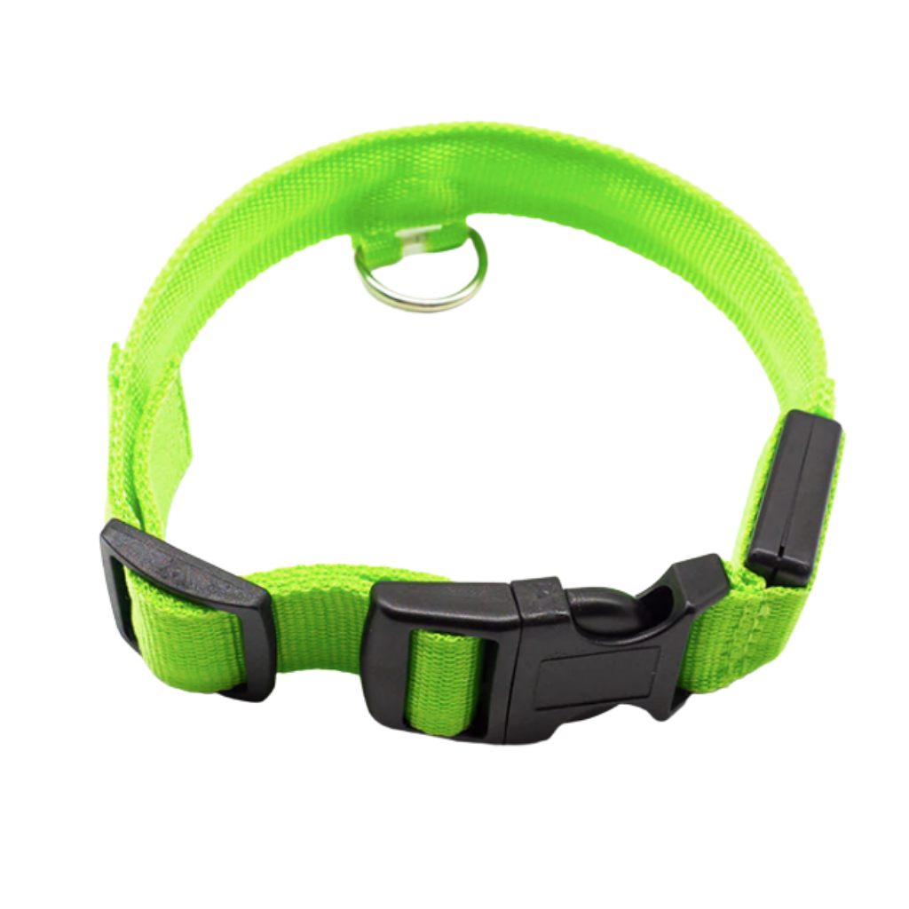 Pet collar with USB rechargeable LED light