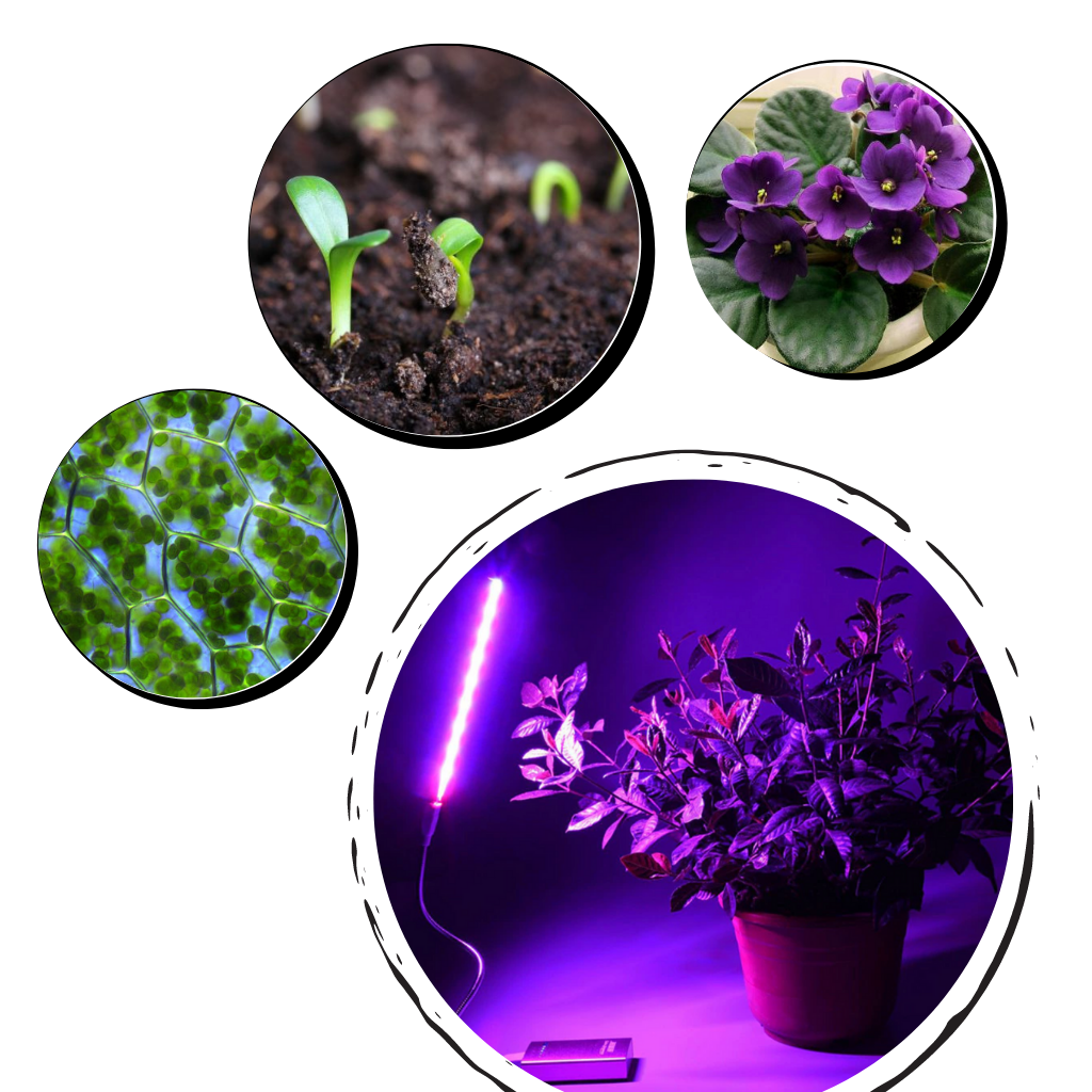 Luce di crescita per piante USB LED con palo flessibile - Ozerty