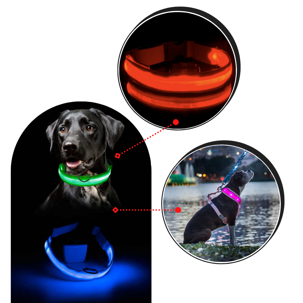 Collare per animali con luce LED ricaricabile USB - Ozerty