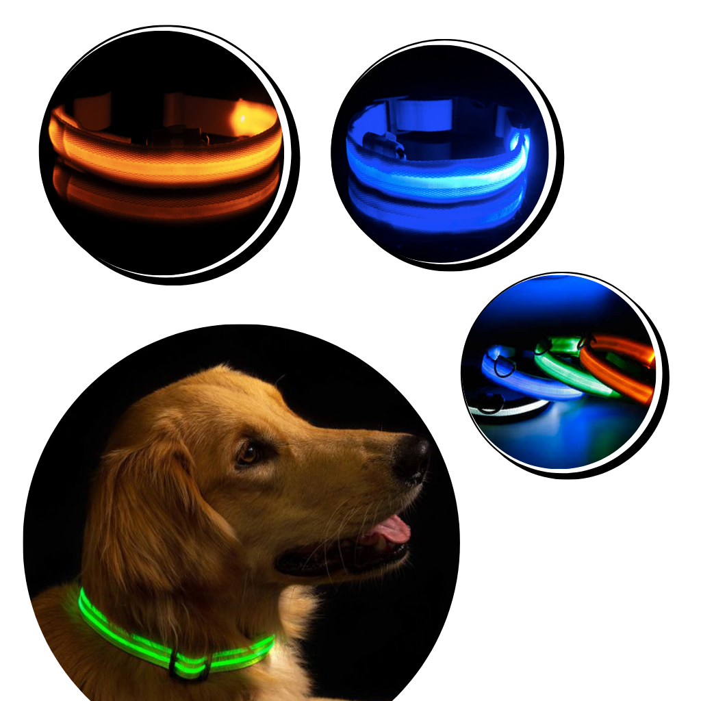 Collare per animali con luce LED ricaricabile USB - Ozerty